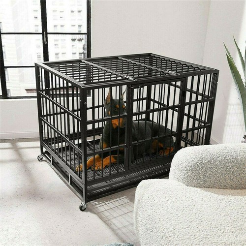 Xxl large heavy duty dog - xxl,