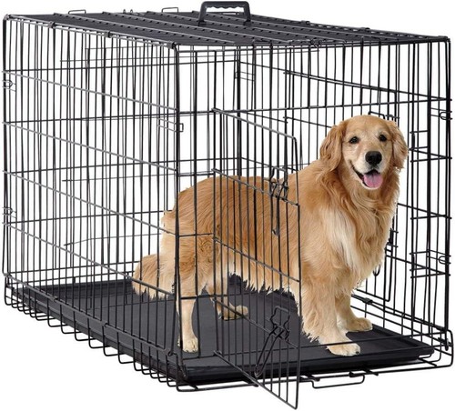 Inch large dog - 48,