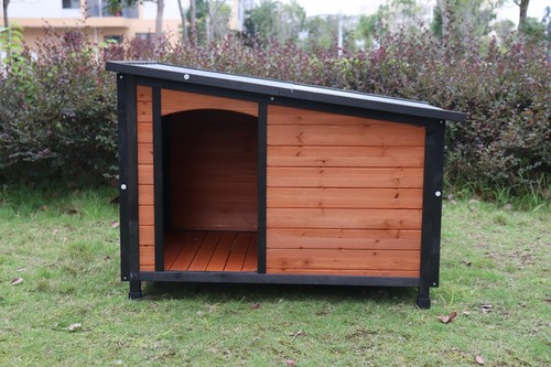 Pet large dog - large, house