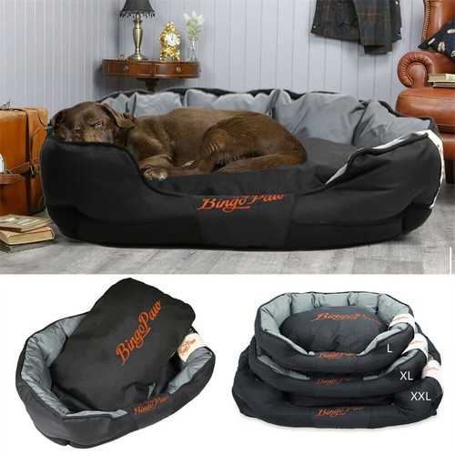 Xxl large jumbo orthopedic dog - orthopedic,
