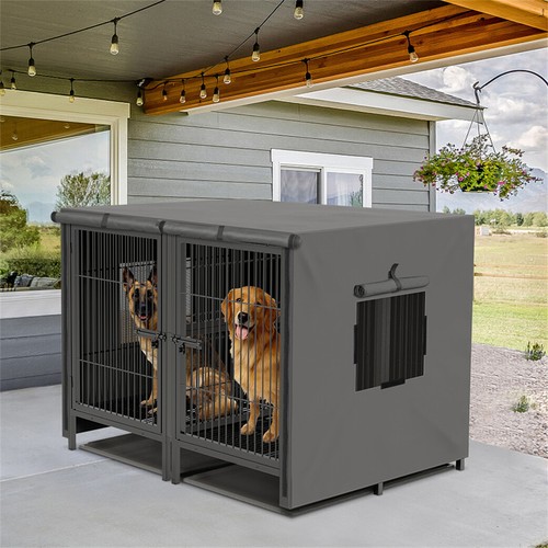 Xxxl large dog - xxxl, raised