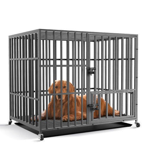 Bingopaw heavy duty pet dog - heavy,
