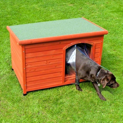 Wooden dog kennel - dog, outdoor