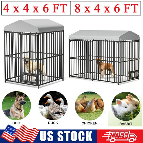 Welded wire dog - wire, kennel