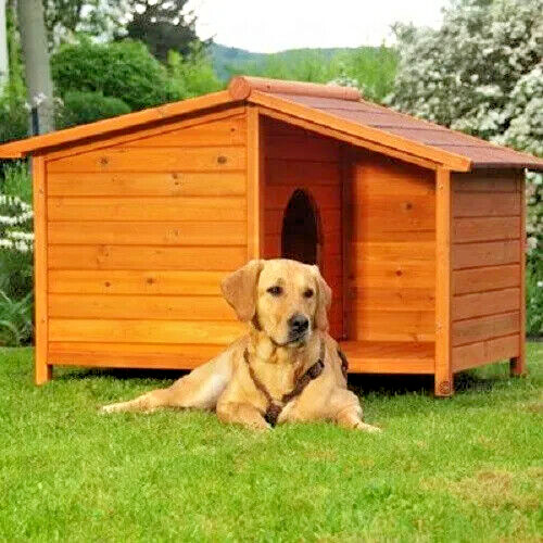 Large outdoor wooden dog - outdoor,