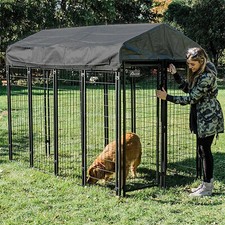 Sturdy Outdoor Dog Kennel