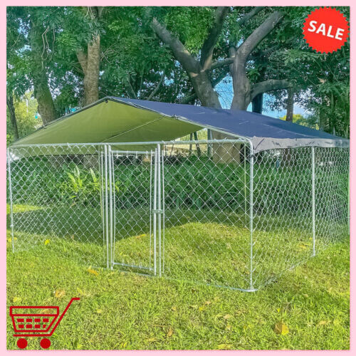 10ft outdoor pet dog - outdoor,