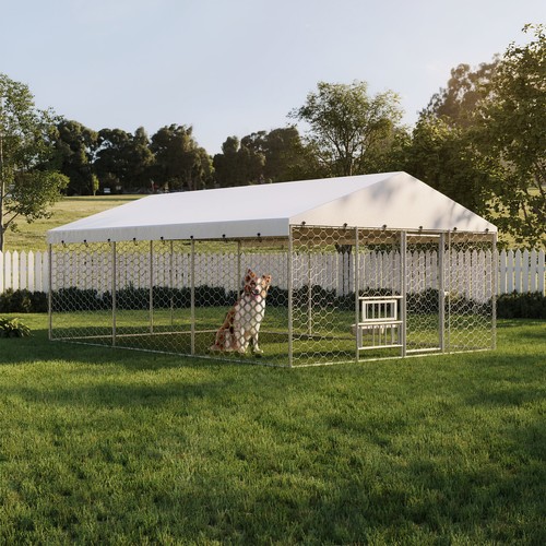 15x10 large outdoor - 15x10, dog
