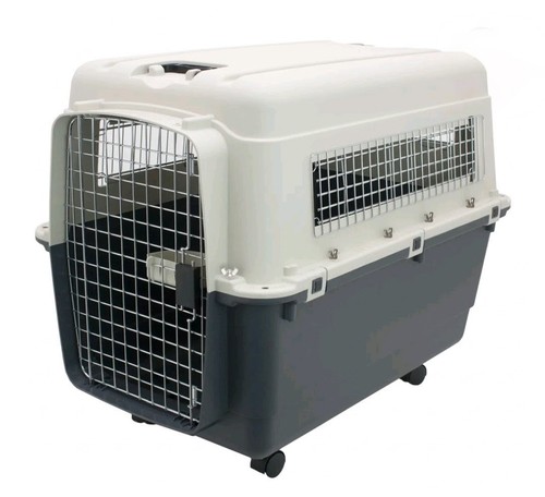 Sportpet designs airline - sportpet,
