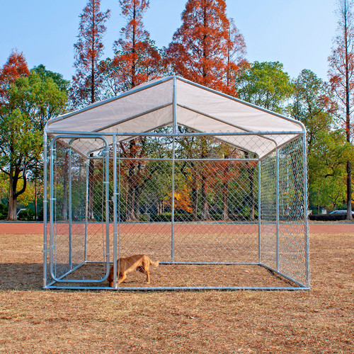 10x10ft large outdoor dog - 10x10ft,