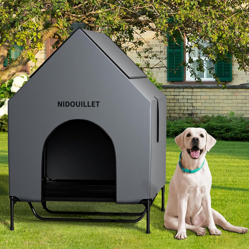 Dog house outdoor - dog,