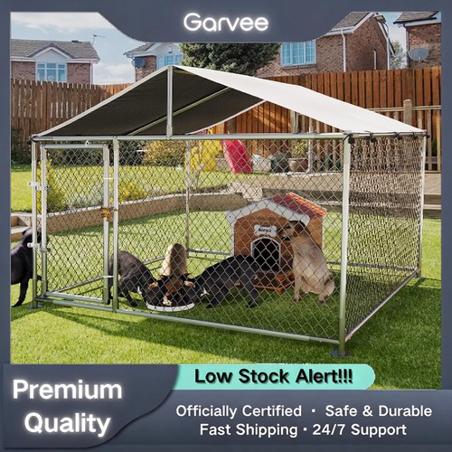 Outdoor large dog - outdoor, with