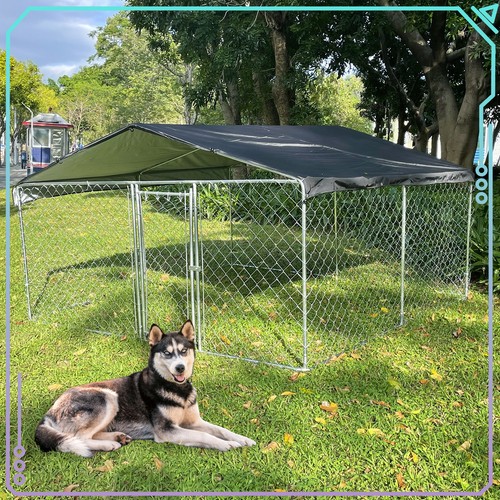 10x10 outdoor kennel - kennel, shade