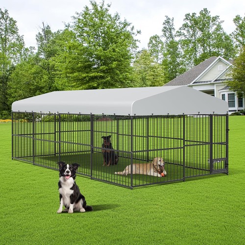 20ft outdoor dog kennel - dog,