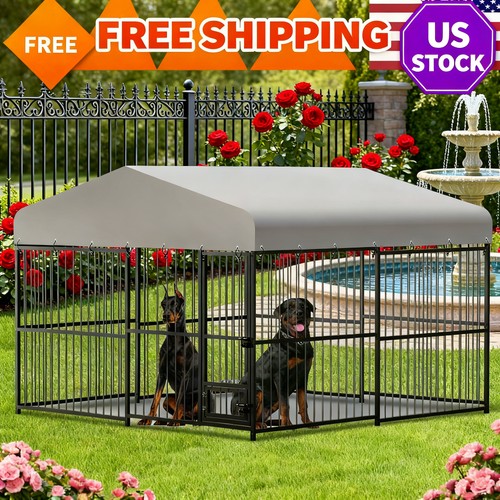 10x10x6 large dog - ft, kennel