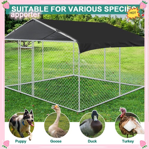 Yamissi large dog - yamissi, kennel
