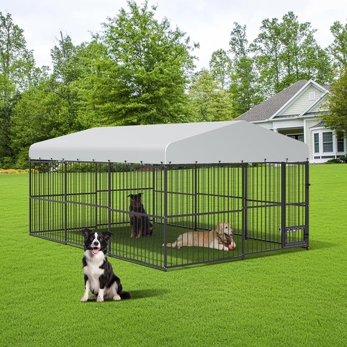 20ft outdoor large dog - 10×15/20ft,
