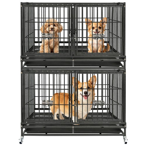 Homey pet two ties - pet,