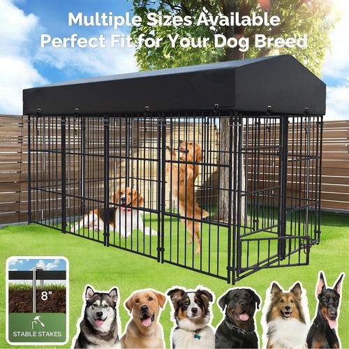 Large outdoor dog enclosure - dog,