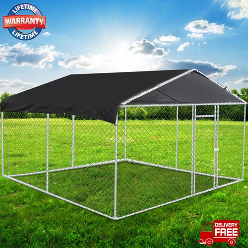 X10 outdoor pet dog - pet,