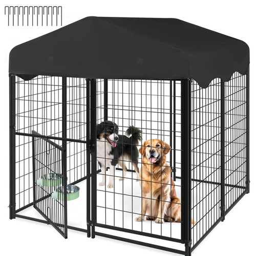 Sqirep outdoor dog - outdoor,