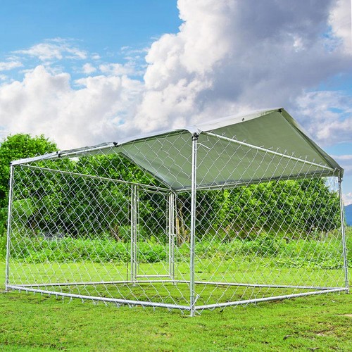 Large outdoor dog - outdoor,