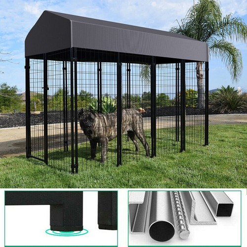 Jumbo outdoor dog - jumbo, w/