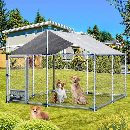 Large outside dog - outside,