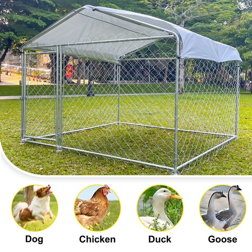 Large outdoor dog - dog, kennel