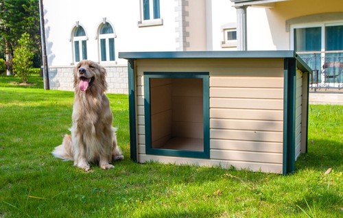 Plastic dog kennel - cabin, twin
